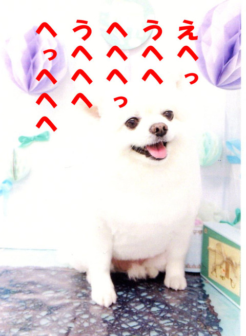 img066のコピー