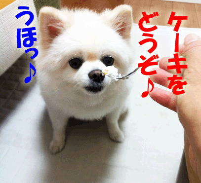 IMG_8625のコピー