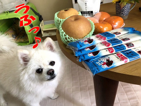 頂きもののコピー