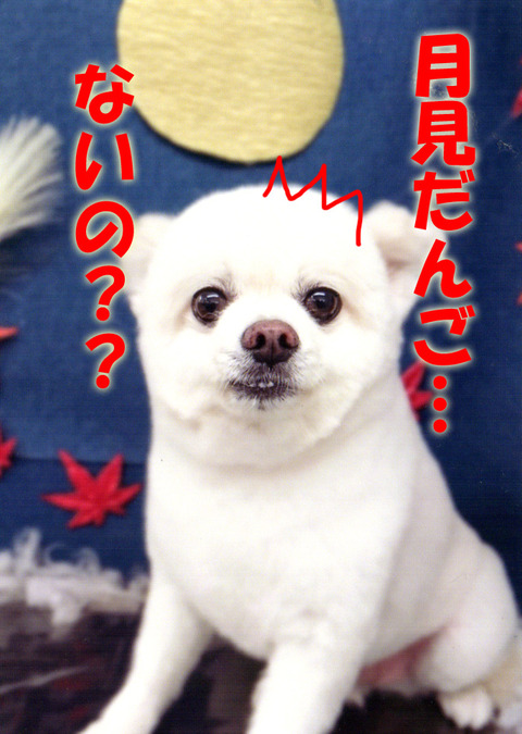 img048のコピー