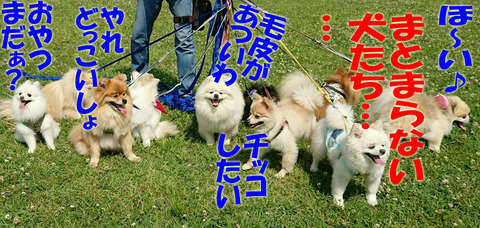 IMG_20180707_153238のコピー