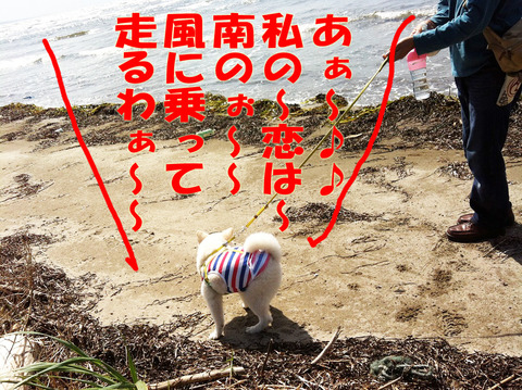 IMG_1192のコピー
