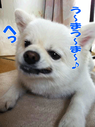 006_edited-1