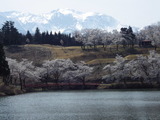 IMGP5241