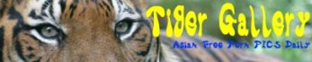�摜����̒������N�wTiger Gallery�x