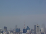 天気いいゾー!