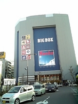26244f85.jpg