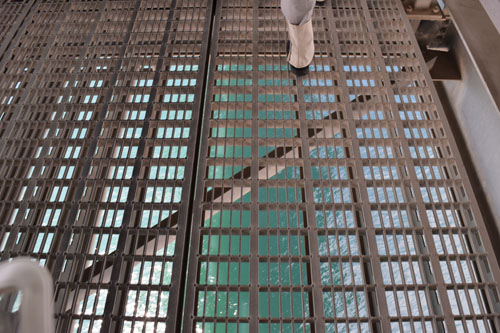 DSC_0539