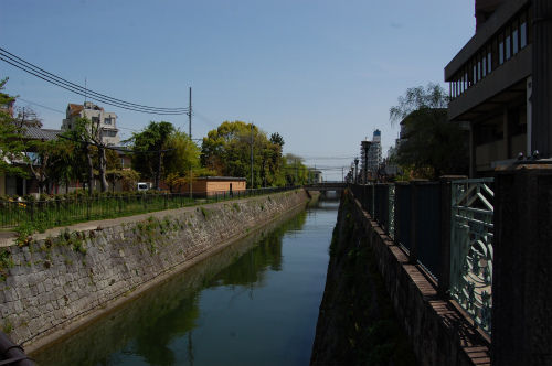 DSC_0098s