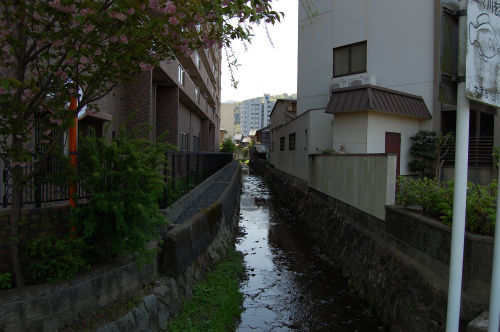 DSC_0096s