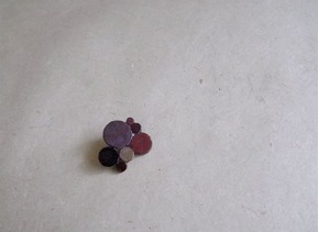 野ぶどう