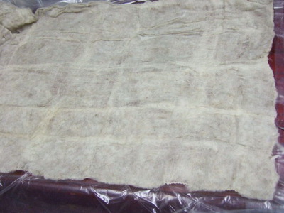 DSCF7040