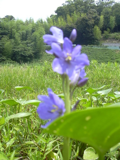 DSCN1395