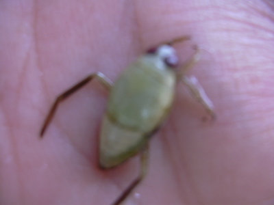 DSCN1405