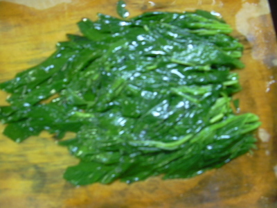 DSCN1502