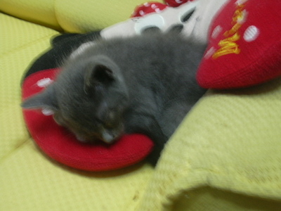 DSCN1346