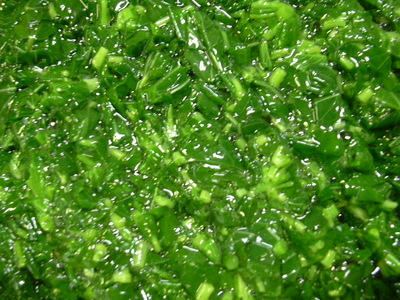 DSCN1504
