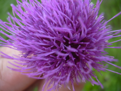 DSCN1473
