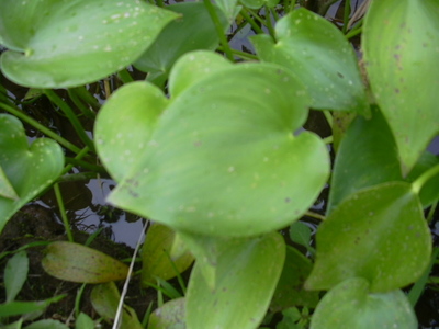 DSCN1327