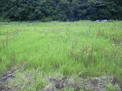 DSCN1533