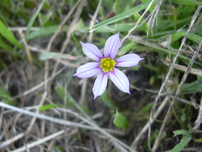 DSCN1446