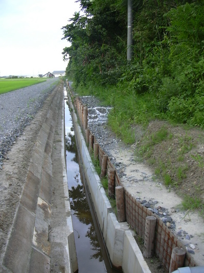 DSCN1547