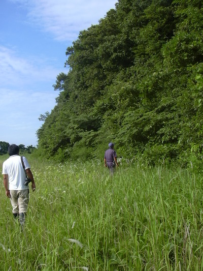 DSCN1528
