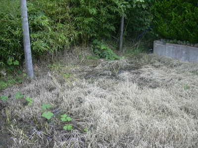 DSCN1370