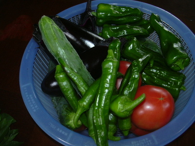 DSCN1468