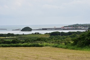 DSC_9873