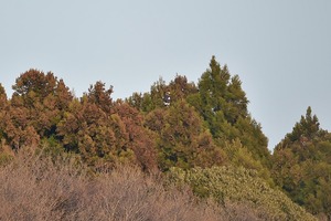 a18b2378.jpg
