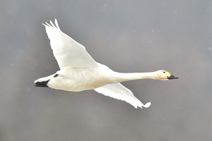 b71ae61c.jpg