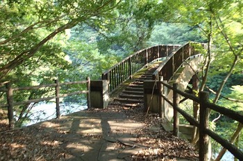 P8050203