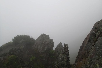 P8120239