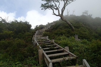 P8050174