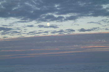 P9230776