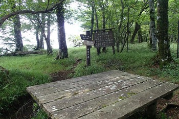 P8050170