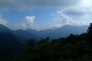 P8050197