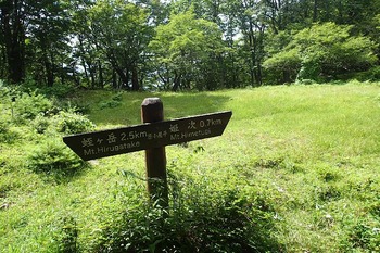 P8050192
