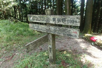 P8260464