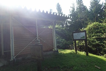 P8050202