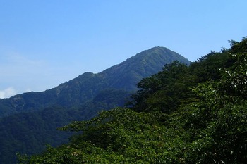 P8050165