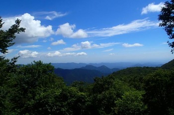 P8260456