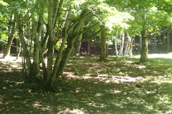 P8260455