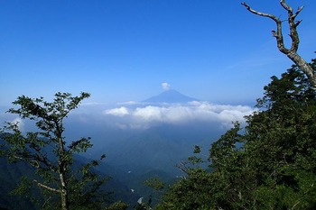P8050145