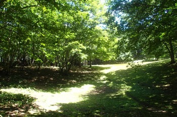 P8260454