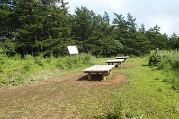 P8050194