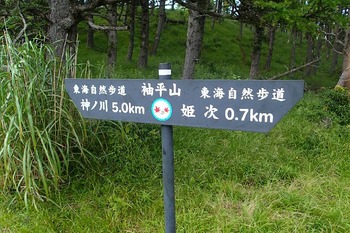 P8050195