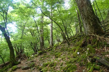 P8130407