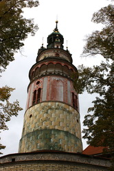 IMG_5478